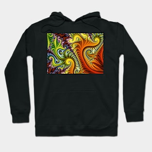 Psychedelic Rainbow Spiral Hoodie